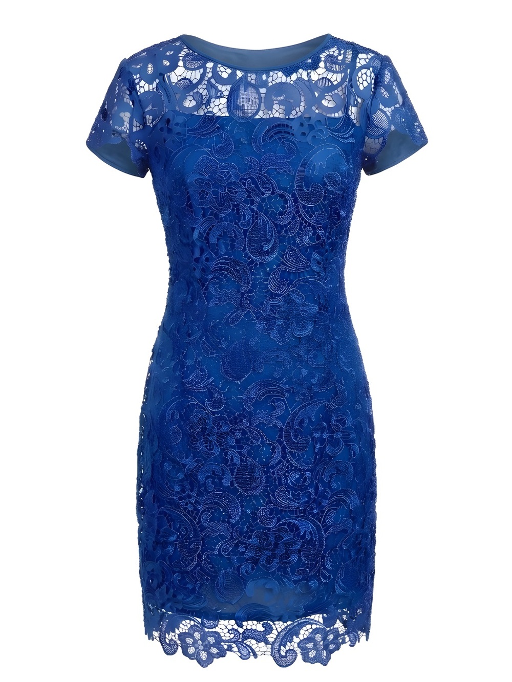 Nox Lace Overlay Mini Dress in Royal Blue - Women